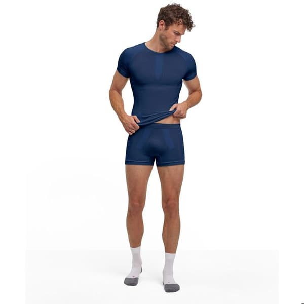 Boxer Falke