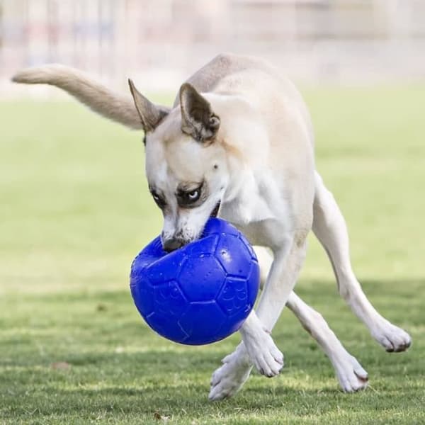 Jolly Pets Boll för hundar 15 cm Blå ocean