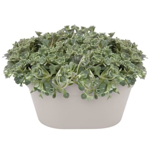ELHO Loft Urban väggkruka - 40 cm - Vit