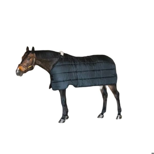 Utomhustäcke för häst Kentucky 400g - 145 cm