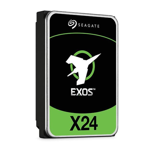 Seagate ST24000NM002H