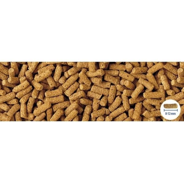 Tetra vetegroddsdammar - TE169968