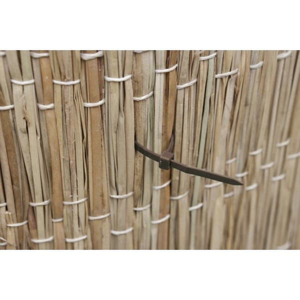 Stödkollier - NATURE - 15 cm - 25-pack - Grön