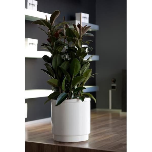 Hidrojardinera vattenreserv blomkruka - PLASTIKEN - Ø26 cm - Antracitgrå