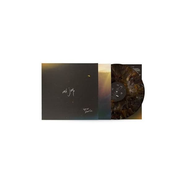 Hoppas vi har roligt Vinyle Färgad