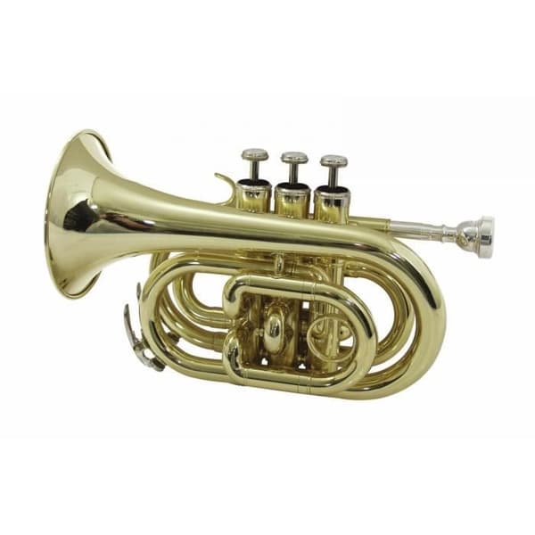 Trompettskiz - DIMAVERY - TP-300 - Färg Guld - Modell BB