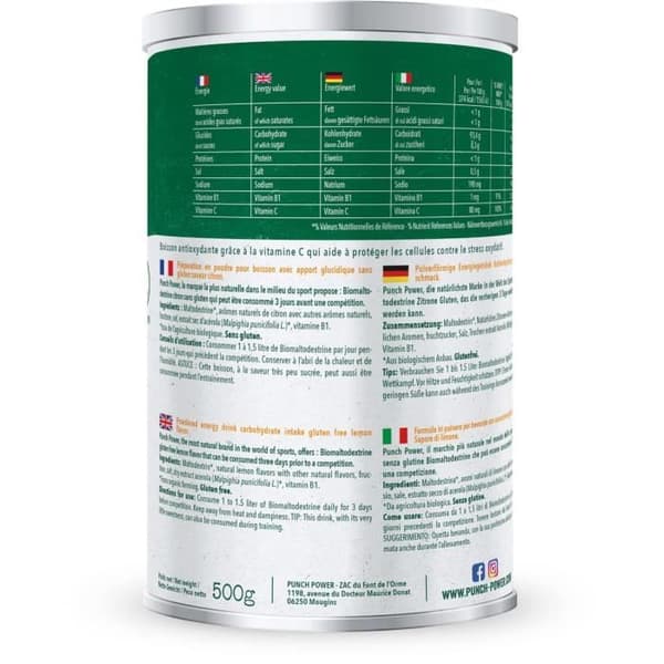 Punch Power Biomaltodextrin Citron Antioxidant 500g