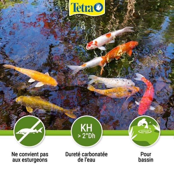 Anti-alger för trädgårdsdammar - Tetra Pond Algorem - 250 ml