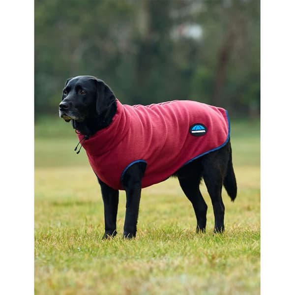 Weatherbeeta Comfitec zip-up hundfleece - Röd - 35 cm