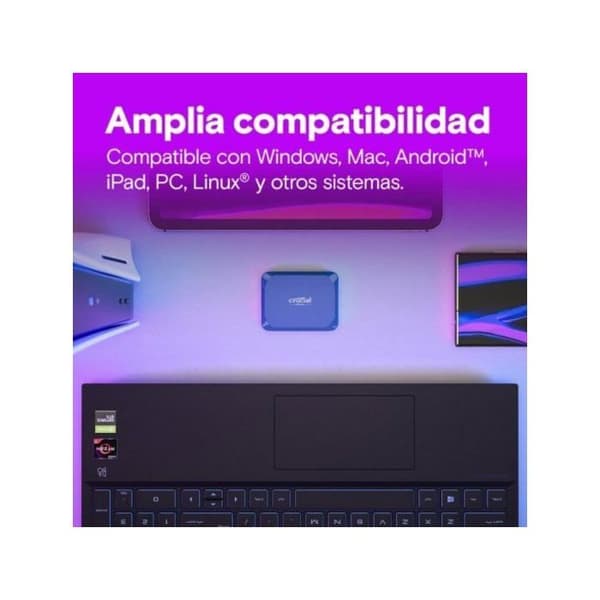Crucial X10 - SSD - 1 To - US