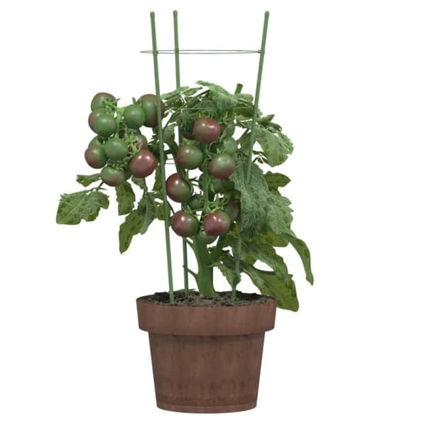 Stöd för trädgårdsväxter 3 ringar 5 st Grön 45 cm Stål