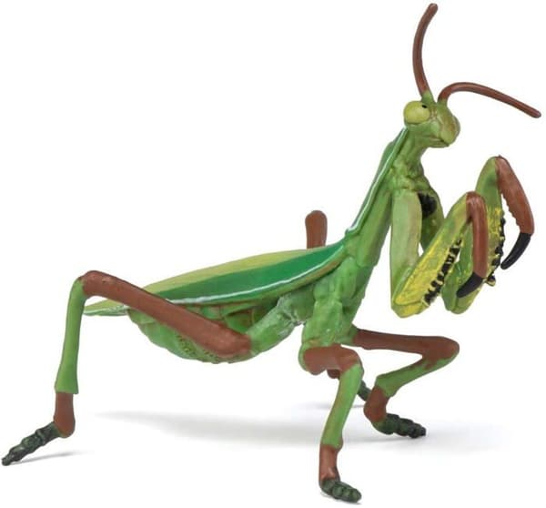 Figur föreställande en bönsyrsa