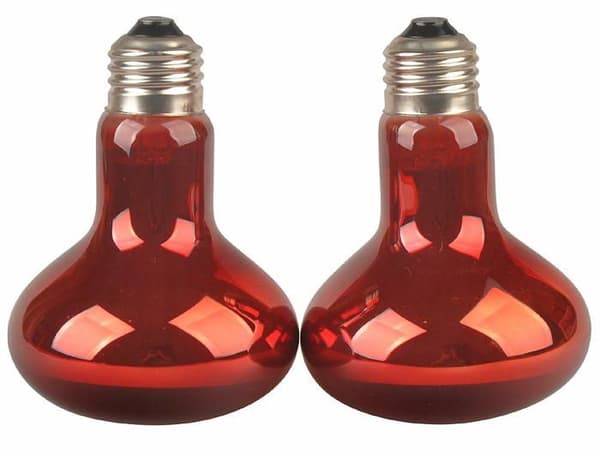Infraröda värmelampor - LUCKY HERP - E27 - 50W - 2-pack - Förbättrad nattsyn