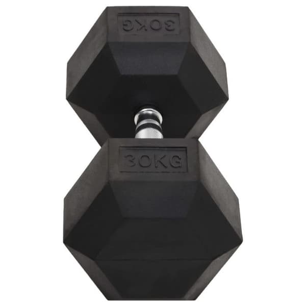 Hantel 30 kg Gjutjärn