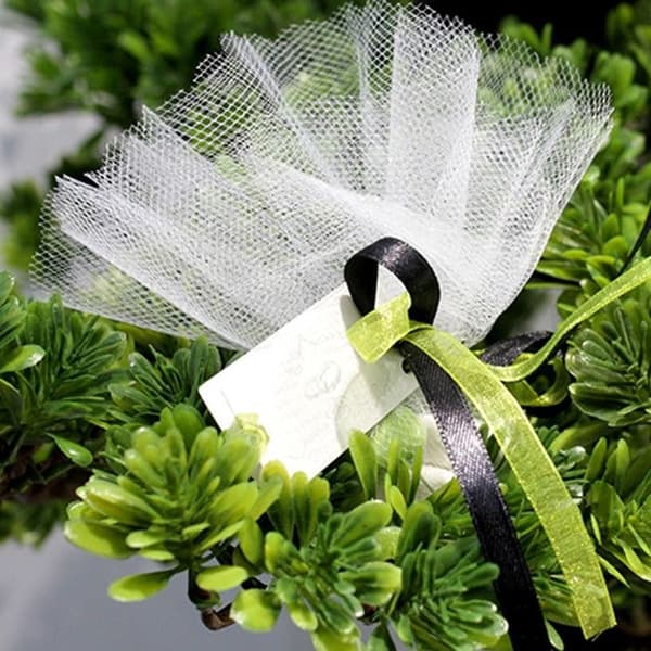 25 RUND TULLES 24CM VIT