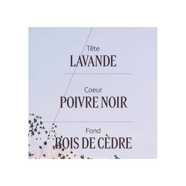 LAVANDE POIVRE NOIR edt 50 ml