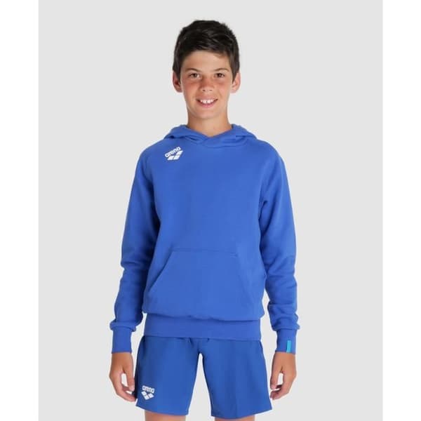 Barn hoodie Arena Team Panel