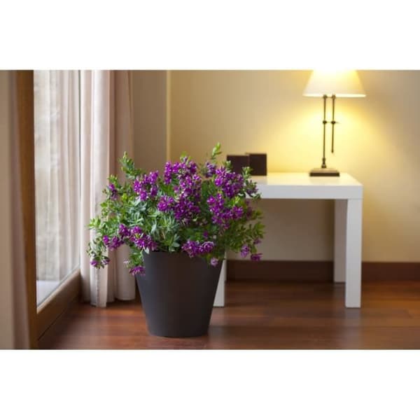 PLASTIKEN Kotte Blomkruka - 22 cm - Vit