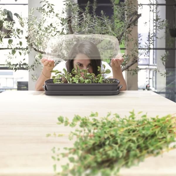 Prosperplast Mini herbarium växthus Respana grå