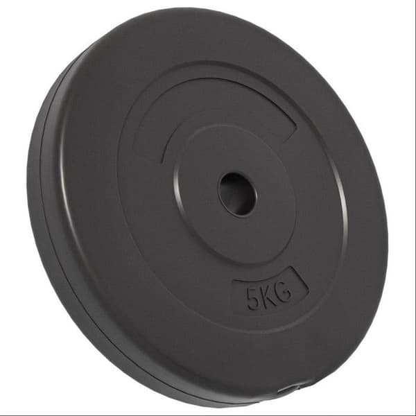 93599 vidaXL Viktskivor 6 st 30 kg Betong