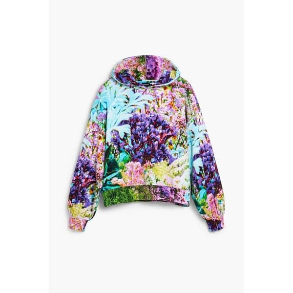 Damsweatshirt med huva Desigual Oliver