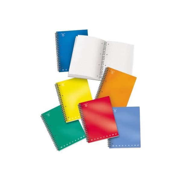 Pigna Monocromo Notepad metallringpärm A4 100 ark små rutor 4 hål