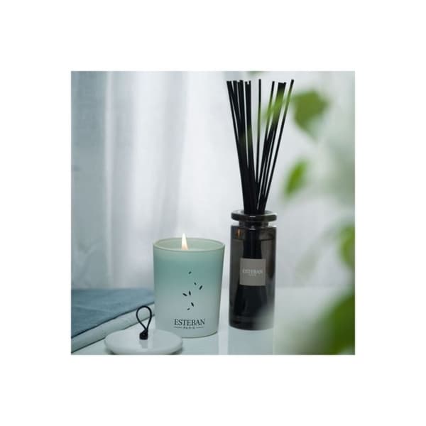Inomhusparfym - Initial doftbukett Pur lin 100 ml - Esteban