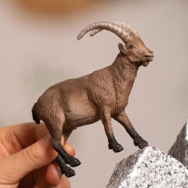 Figur i vilt liv : Bouquetin