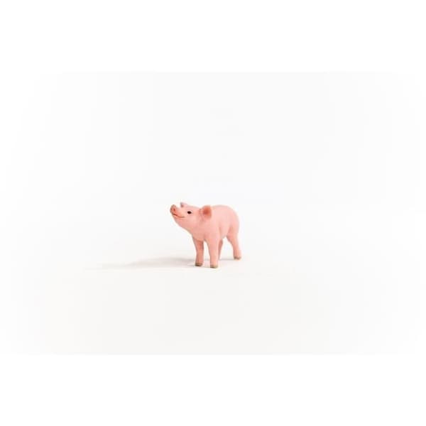 Farm World Piglet