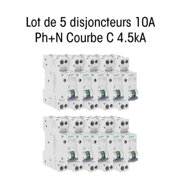 Batch av 10 elektriska brytare fas + neutral 10A