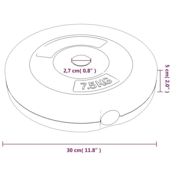 93599 vidaXL Viktskivor 6 st 30 kg Betong