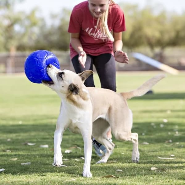 Jolly Pets Boll för hundar 15 cm Blå ocean