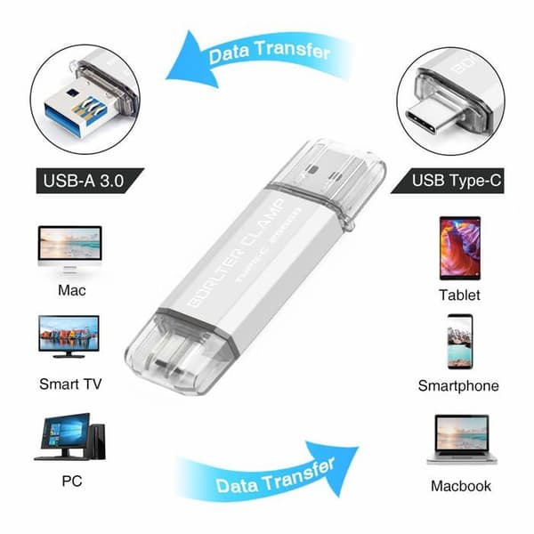 USB-minne Borlter klämma - TGX typ-c silver 256gb