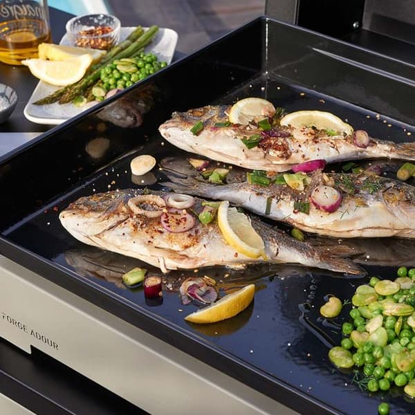 Plancha elektrisk Forge Adour PREMIUM 60 Inox