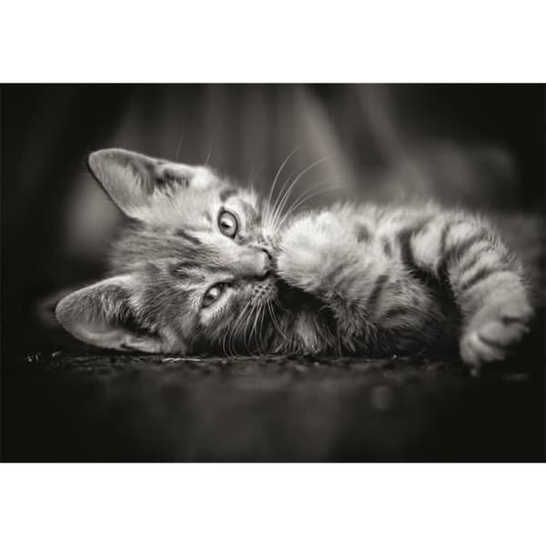 CLEMENTONI - Compact 1000 bitar - Kitty