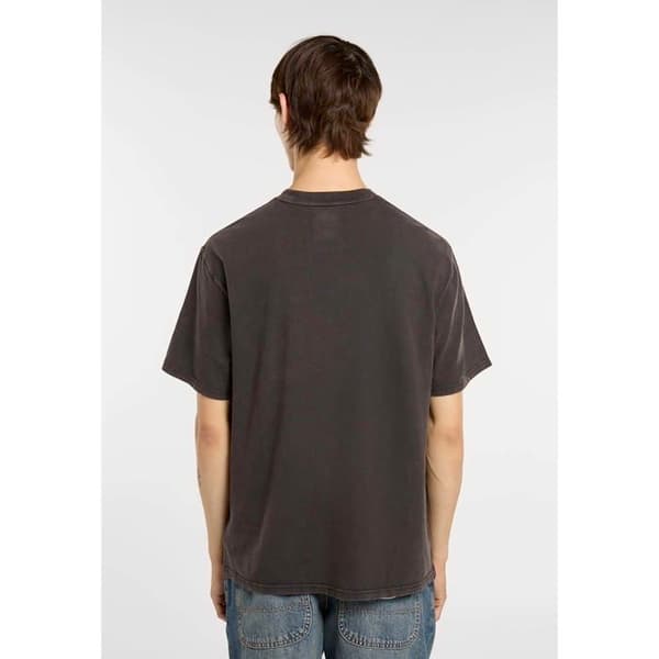 T-Shirt Dickies Plentywood Ss