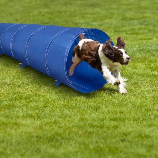 maxxpro Tunnel Hund 3M