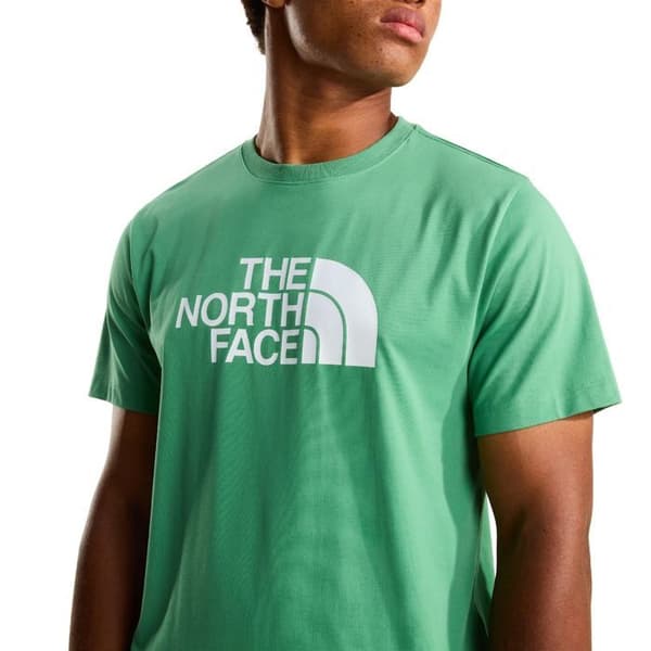 The North Face T-shirt Evolution Half Dome Vert - NF0A8B6JG57