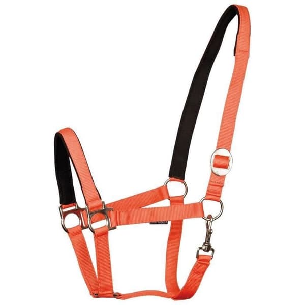 Vadderad hästgrimma Harry's Horse - orange - X-Full