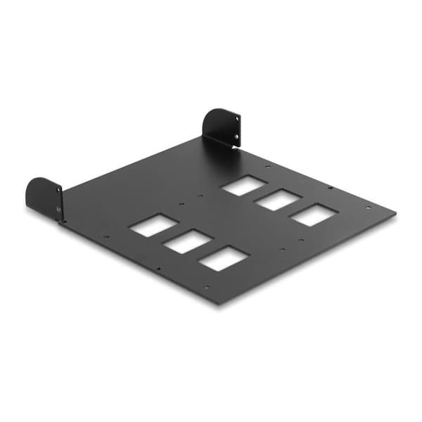 DeLock 5.25" monteringsram