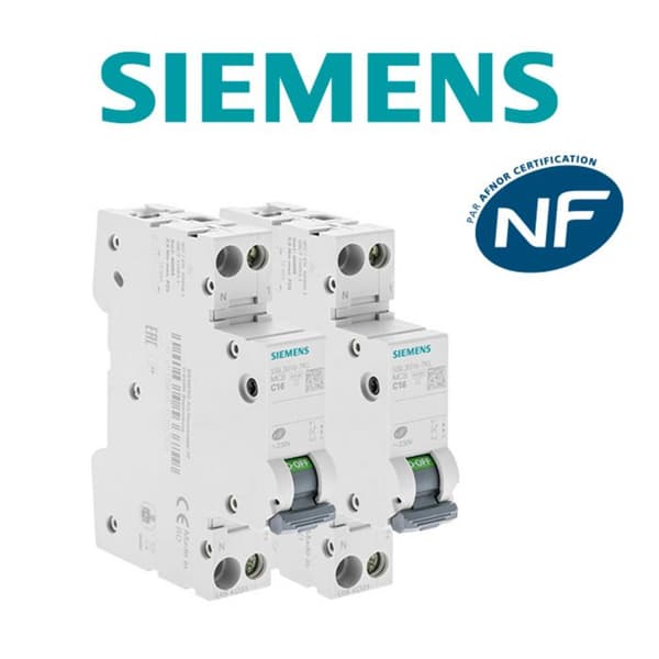 Paket med 2 elektriska brytare fas + neutral 16A