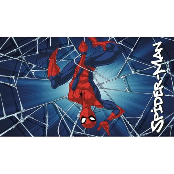 Sponge mat 40x60 cm Spide