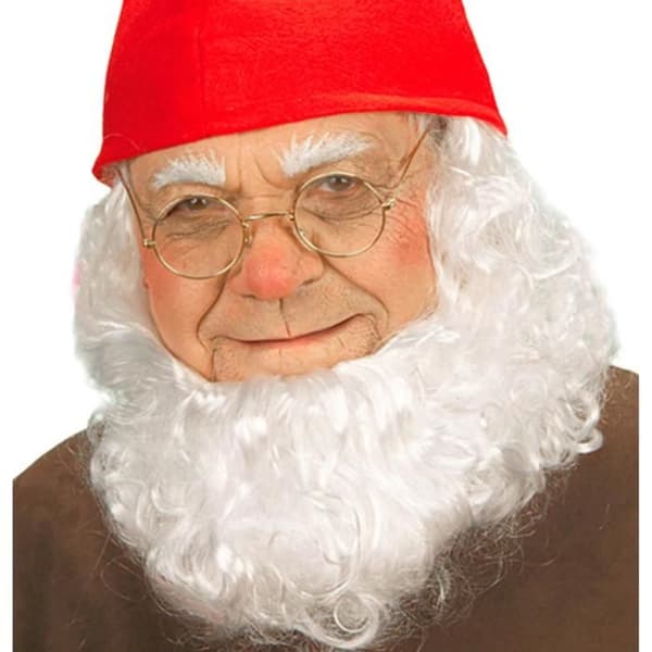 Jultomteglasögon med linser