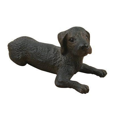 Labradorhund - Baby