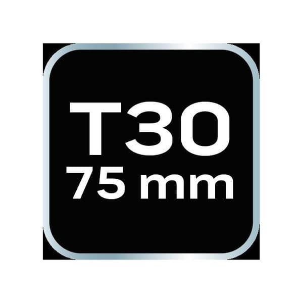 TORX-bit - NEO TOOLS - T30 - Legerat stål S2 - 75 mm - 2 st