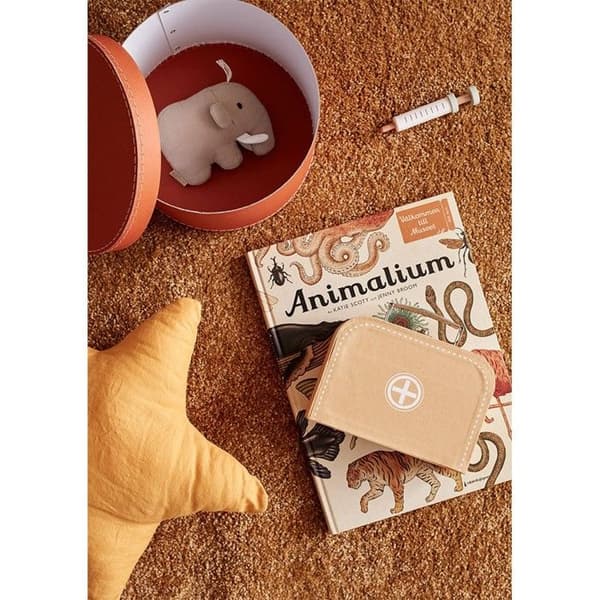 Kid's Hub Natural Doctor's Case