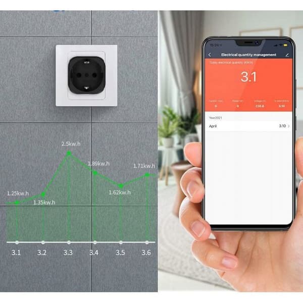 Programmerbar kontakt - programmerare för Ltc kontakt Wi-Fi smart Tuya SVART