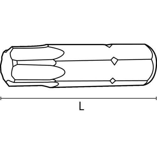 Låda med 10 Torx T 25/25 - ACTON - 3604025/25