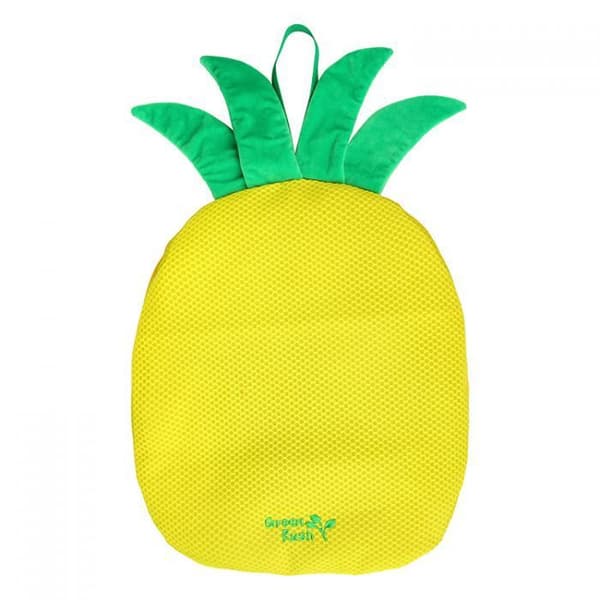 Spelmatta ananas All For Paws Green Rush
