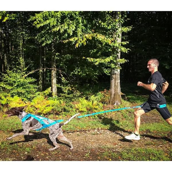 Harnais för cani-cross, cani-VTT PHOENIX ALM XXS
